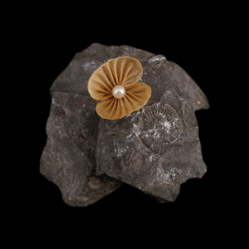 SQ001SeashellPin Golden Open Seashell Lapel Pin