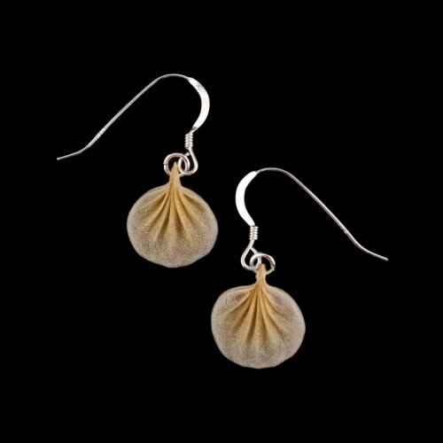 SQ001single-shell Golden Scallop Seashell Earrings